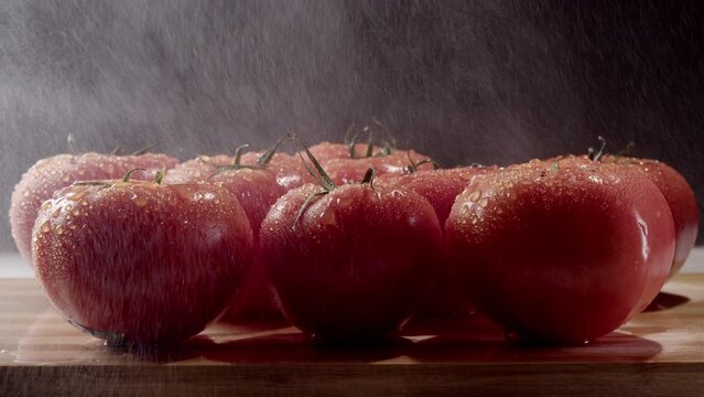 View of ripe red tomatoes with falling water drops on black background. Vegetables are watered with water or raindrops slowly fall on tomatoes. Tomatoes with water drops isolated on black background