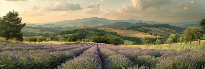 Fototapeten A vibrant lavender field stretches as far as the eye can see, with majestic mountains providing a stunning backdrop under the clear blue sky © nnattalli