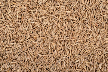 Full frame of cumin seeds as textured background.