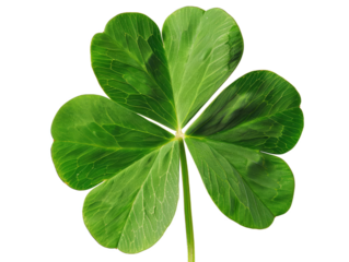 three leaf clover isolated on transparent background
