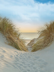 Blick durch eine Düne auf das Meer