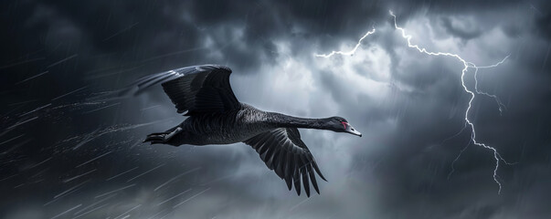 A lone black swan soars through a stormy sky, illuminated by lightning, showcasing its courage amidst turbulent weather.