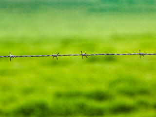 Blick auf Stacheldraht