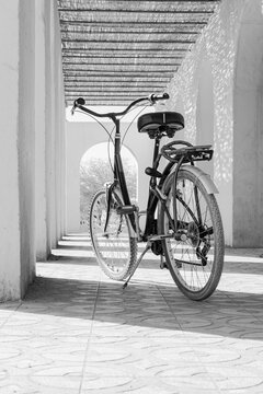 An old city bike parked in a footpath outdoors with an arched wall covered with sorghum stalks. Surface level back side view with sunlight and shadows contrasted. Black and white photograph.