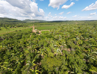 Fototapeta na wymiar Aerial treetop view of forest on Chapada hill during summer in Nobres Bom Jardim Mato Grosso