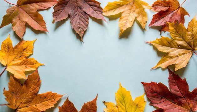 autumn simple background with a fallen colorful leaves
