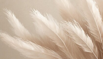 fluff background with neutral colors and aesthetic structure minimalism style with beige texture natural neutral and pastel colors for simple wallpaper with fragile elements