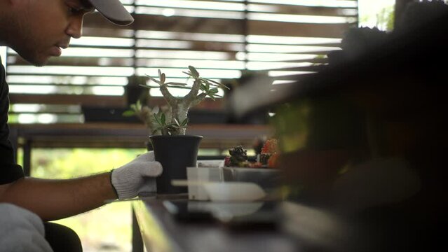 Side view of man measuring the plant growth using vernier caliper scale, The farmer working on gardening and observing diameter of plant, The male gardener doing hobby by houseplant.