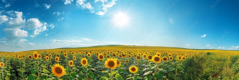 Sticker A vast expanse of golden sunflowers stretch towards the heavens, bathed in the warm glow of the sun, the blue sky towering above