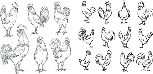 One line roosters - obrazy, fototapety, plakaty