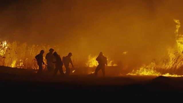 Firefighters estinguishing forest bushfire fire at night