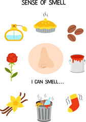 Sense organs. Sense of smell. Vector illustration. Worksheet for kids.