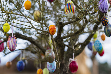 Colorful easter eggs hanging in an olive tree