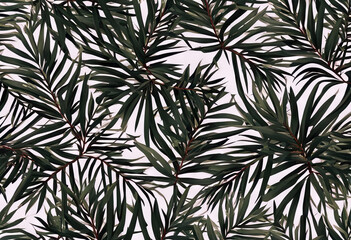 Vector seamless pattern with green pine branches. stock illustrationChristmas Backgrounds Pattern Winter Holiday - Event