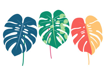 Tropical leaves collection. Vector isolated elements on the white background.	 - obrazy, fototapety, plakaty