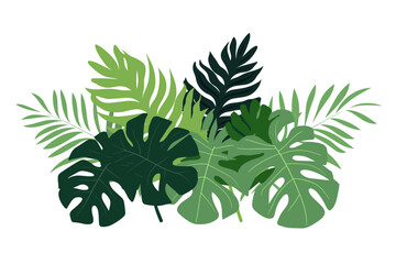 Tropical leaves collection. Vector isolated elements on the white background.	 - obrazy, fototapety, plakaty