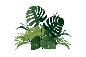 Tropical leaves collection. Vector isolated elements on the white background. 