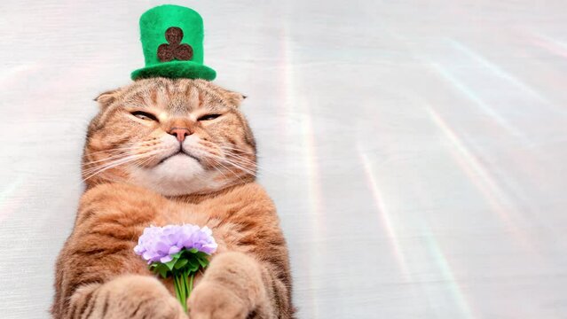 A ginger cat lies in a green hat with a bouquet of flowers on a light background with sun rays.	