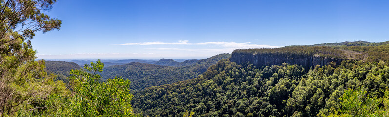 Fototapeta na wymiar View of Rainforest in Springbrook National Park with the Skyline of Gold Coast in the Distance, Queensland, Australia.