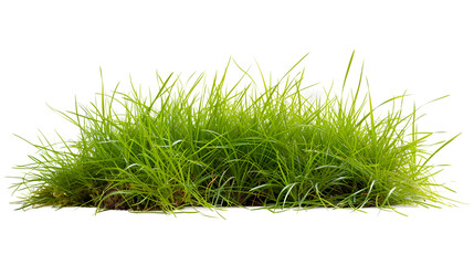 strip of green fresh grass side view, isolated on white background. generative ai - obrazy, fototapety, plakaty
