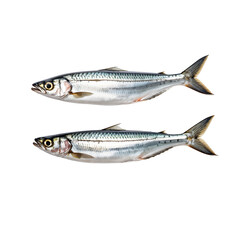 two fish mackerel isolated on transparent background