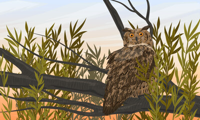 Eagle owl sits on a tree branch. Predatory bird. Realistic vector landscape