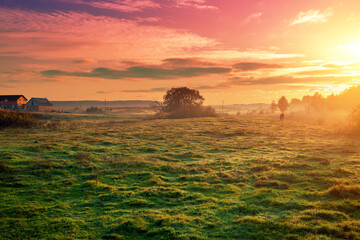 Rural landscape in the foggy morning. Sunrise in the countryside - 758843339