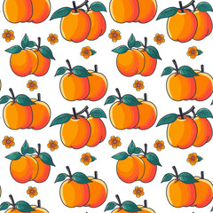 Apricot pattern, bright, juicy apricot, apricot blossoms, vector illustration