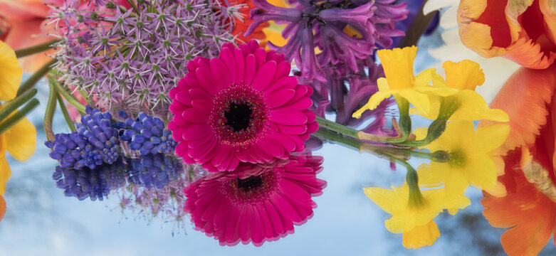 Fototapeta abstract background of colorful flowers and their reflection on mirror with blue sky
