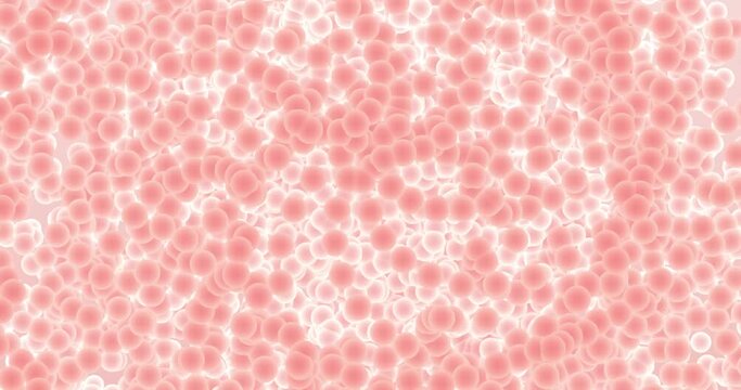 Factal cilidrico rose 3d