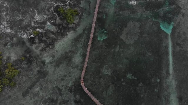Aerial view of surfer walks on wooden walkway to cross the reef, Cloud9, Siargao, Philippines