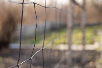 Metal wire mash grid fence outdoor. Close up shot, green background,