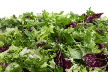 Mixed salad leaves frisee radicchio and lamb's lettuce with water drops. Background, texture