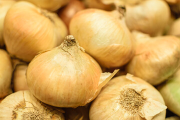 Image of onions stocked in market for consumption.