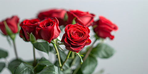 bouquet of red roses on white background 