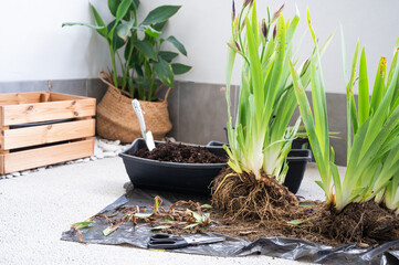 Fototapete bei efototapeten.de bestellen   