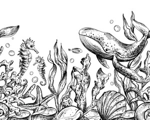 Underwater world clipart with sea animals whale, turtle, octopus, seahorse, starfish, shells, coral and algae. Graphic illustration hand drawn in black ink. Seamless border EPS vector. © NATASHA-CHU