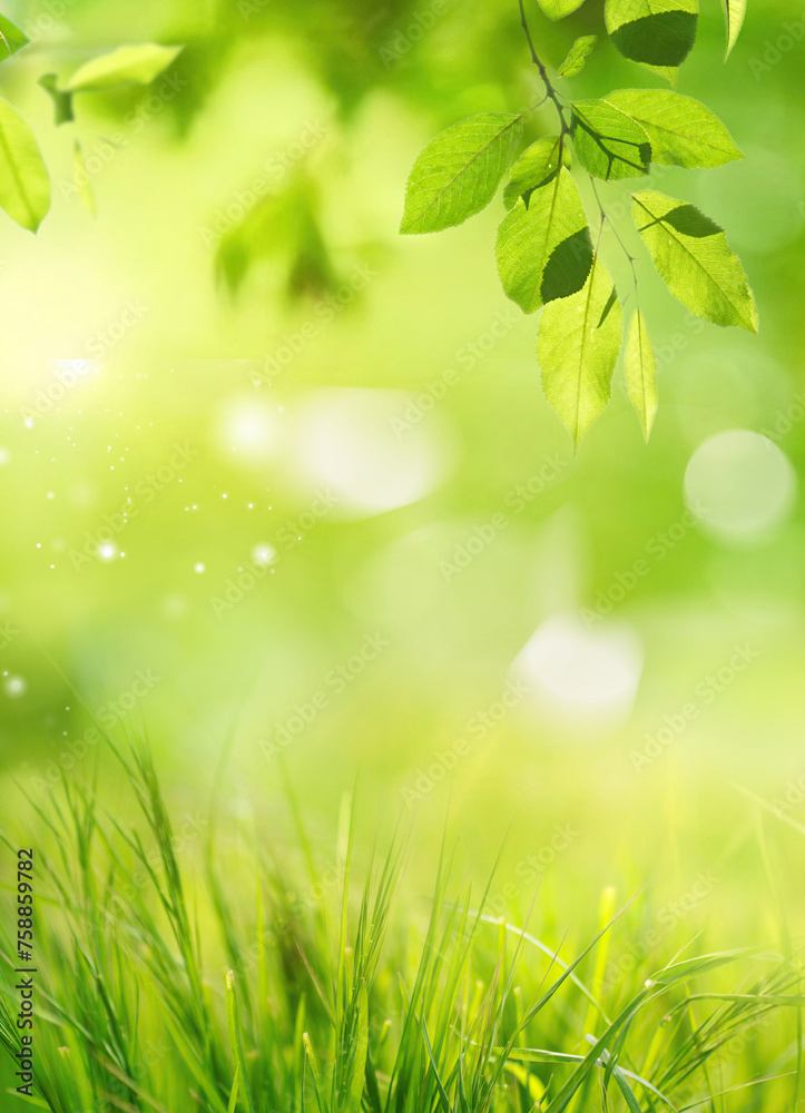 Poster natural background with young lush green grass and tree leaves in sunlight with beautiful bokeh. sum