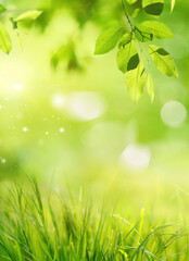 Fototapeta na wymiar Natural background with young lush green grass and tree leaves in sunlight with beautiful bokeh. Summer spring background wihh soft focus.
