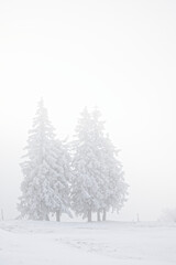 Neige et brume sur les Vosges