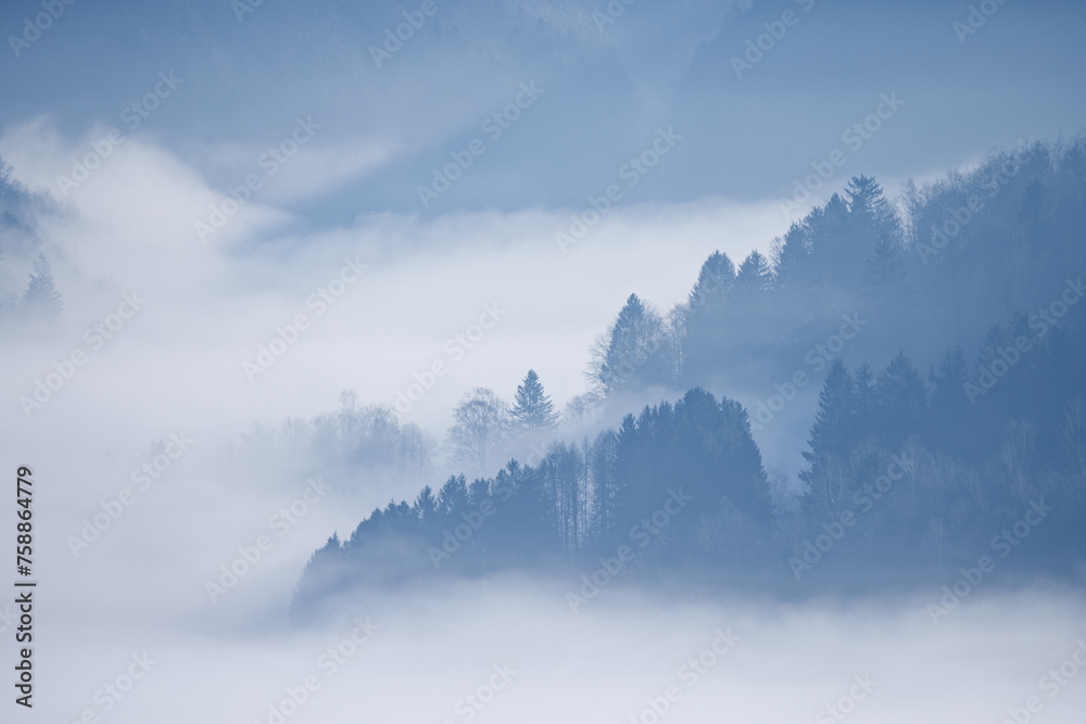 Poster brume dans les vallées vosgiennes