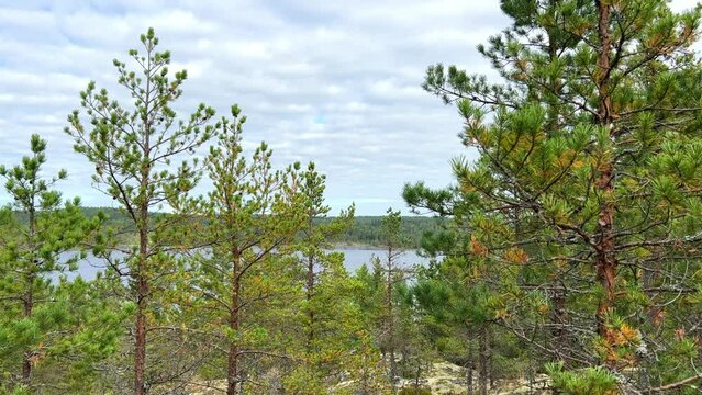 Russia, Karelia, Lake Ladoga, Koyonsaari. View of the coast of the island in a cold lake. Beautiful nature of the Republic of Karelia. Stunning panoramic view of the Ladoga Skerry Islands. 4K