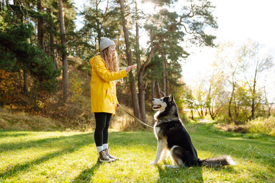 A woman with a husky breed dog smiles and affectionately strokes her beloved dog while walking in nature in the park. Concept of fun, entertainment.