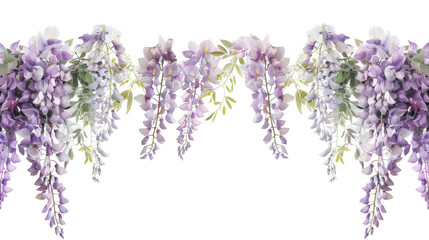 Wisteria on Transparent Background PNG