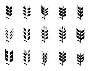 Black wheat ears icon collection. Ears of wheat bread silhouettes. Wheat grain symbol collection on a white background. Set of simple wheat ears icons