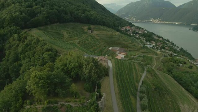 Aerial view of castle (Castello di Morcote) in Morcote with vineyard and mountain View, Lake Lugano, Switzerland