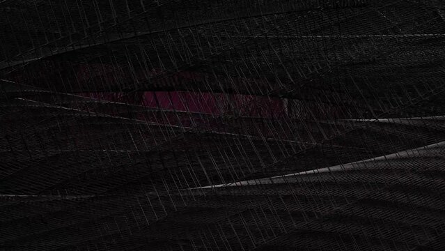 Futuristische Netzstruktur mit dynamischer Linienf&uuml;hrung in moderner &Auml;sthetik, Technologie- und Kreativprojekte in der digitalen Welt, 3D-Illustration, Wissenschaft, Forschung, Konstruktion, schwarz