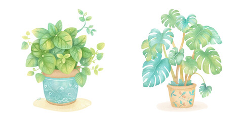  cute plant watercolour vector illustration 