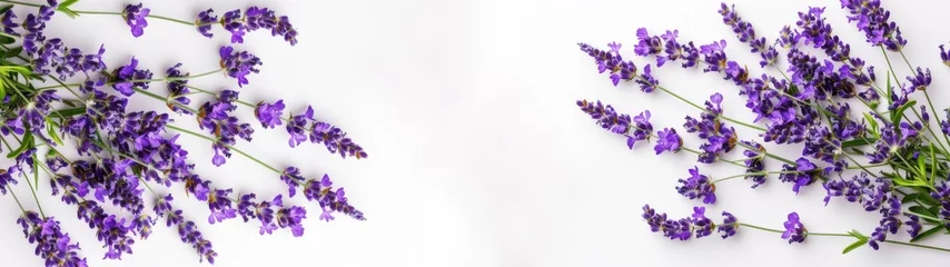 Fototapeten Close up of bouquet of violet purple lavendula lavender branches ( Lavandula angustifolia ) flowers herbs, isolated white paper texture table background banner panorama, top view © Corri Seizinger
