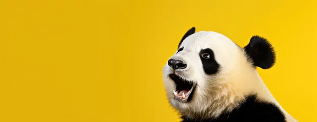 Foto op Canvas A black and white panda bear is depicted with its mouth open, showcasing its unique markings, on a yellow background. © Sascha